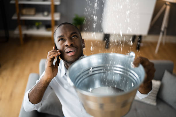 Best Local water damage restoration  in Berkley, CO