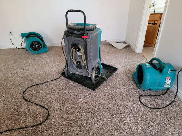 Sewage cleanup and water damage restoration in CO