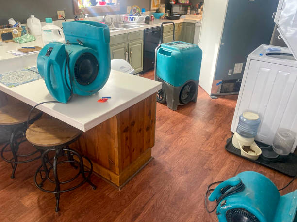 , CO Water damage restoration Company