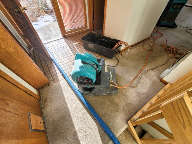 Best Commercial water damage restoration  in Berkley, CO