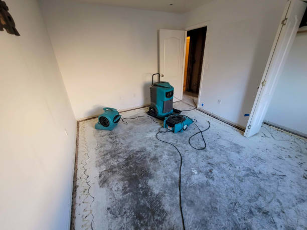 Best Flood restoration services  in Berkley, CO