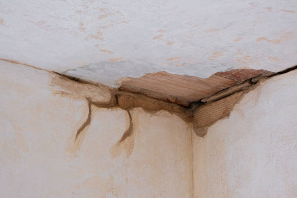 Best Flooded house restoration  in Berkley, CO