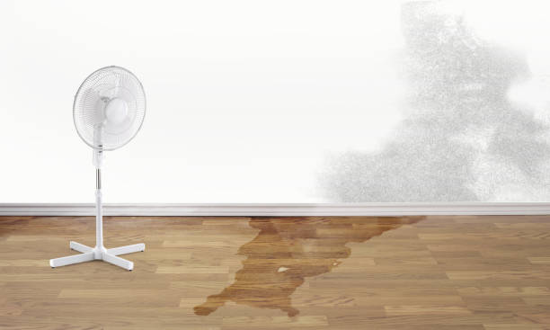 Best Sewage cleanup and water damage restoration  in Berkley, CO