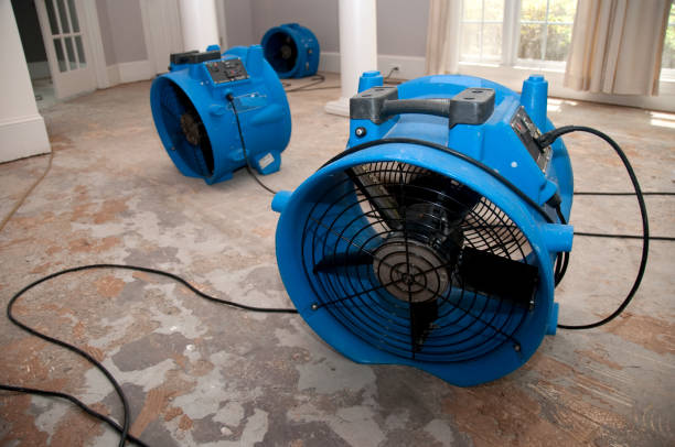 Best Ceiling water damage repair  in Berkley, CO