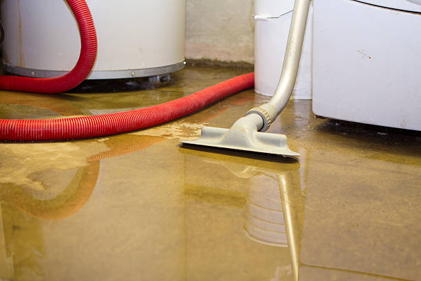 Best Carpet water damage restoration  in Berkley, CO