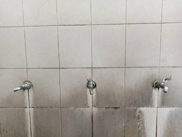 Best Water damage cleanup near me  in Berkley, CO