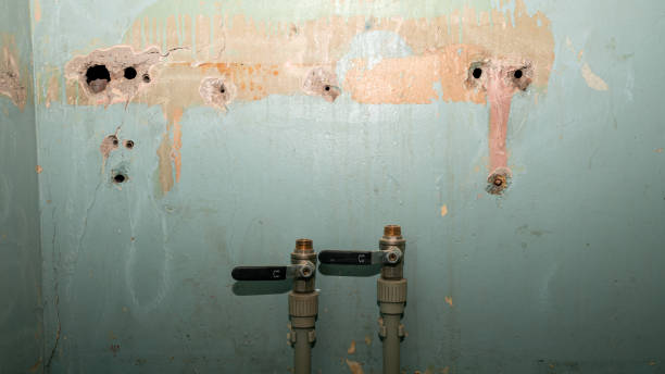 Best Emergency water extraction  in Berkley, CO