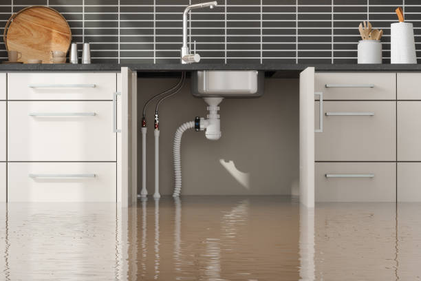 Best 24/7 water damage repair  in Berkley, CO