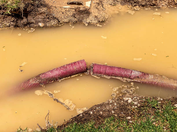 Best Water damage contractors near me  in Berkley, CO