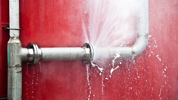 Best Professional water damage repair  in Berkley, CO